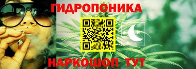 ECSTASY Кингисепп